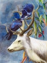 Watercolor picture of a deer with two ravens on itÃ¢â¬â¢s antlers Royalty Free Stock Photo